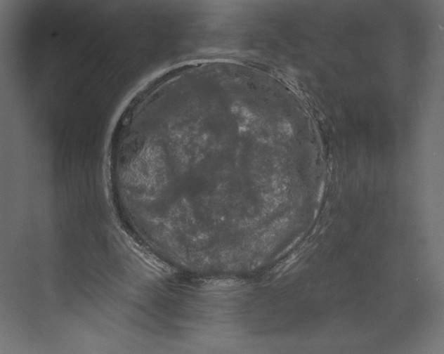 X0000073410342200608181101