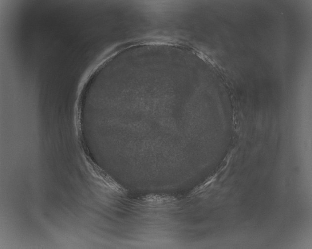 X0000073410343200608181101