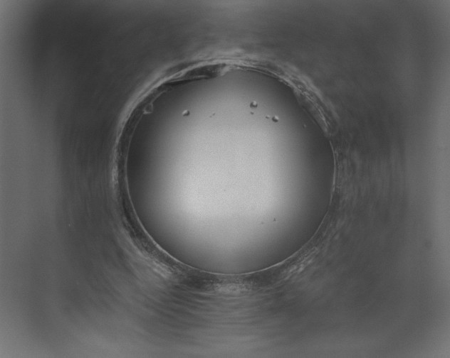 X0000073410344200608181101