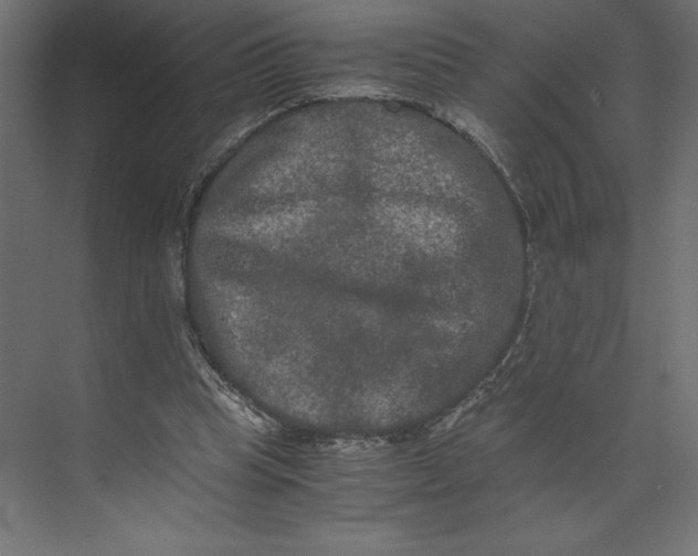 X0000073410345200608181101