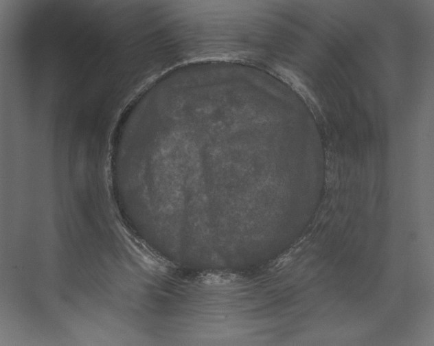 X0000073410346200608181101