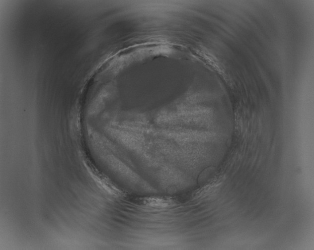 X0000073410347200608181101