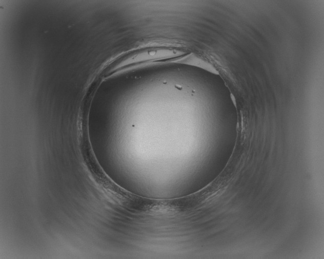 X0000073410348200608181101