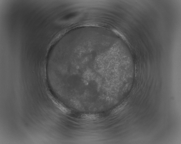 X0000073410349200608181101