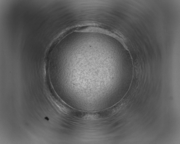 X0000073410350200608181101