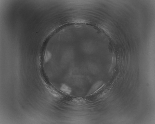 X0000073410351200608181101