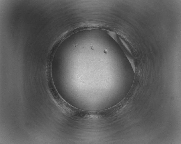 X0000073410352200608181101