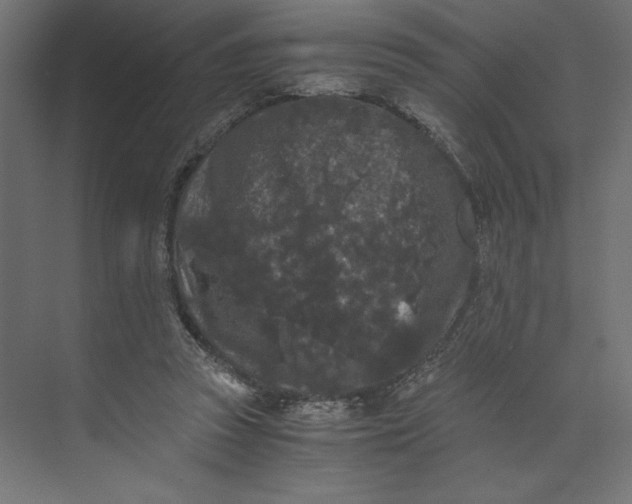 X0000073410353200608181101