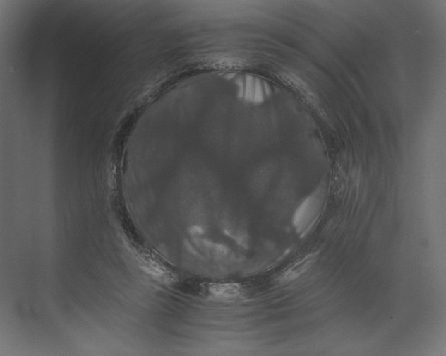 X0000073410355200608181101