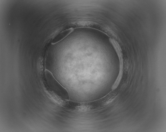 X0000073410356200608181101