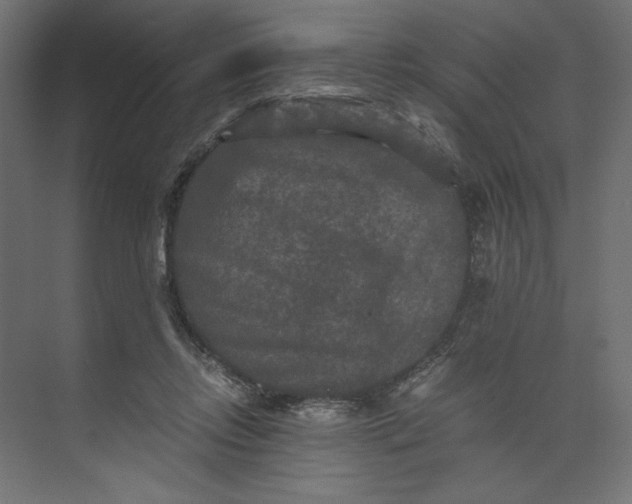 X0000073410358200608181101