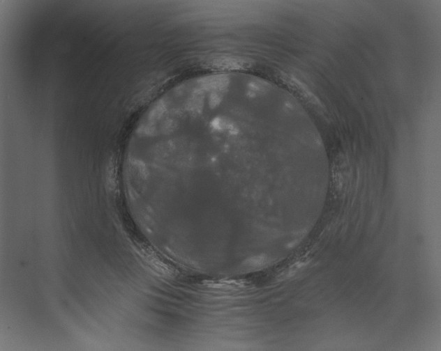 X0000073410359200608181101