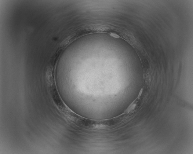 X0000073410360200608181101