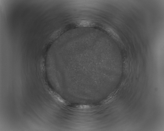 X0000073410361200608181101