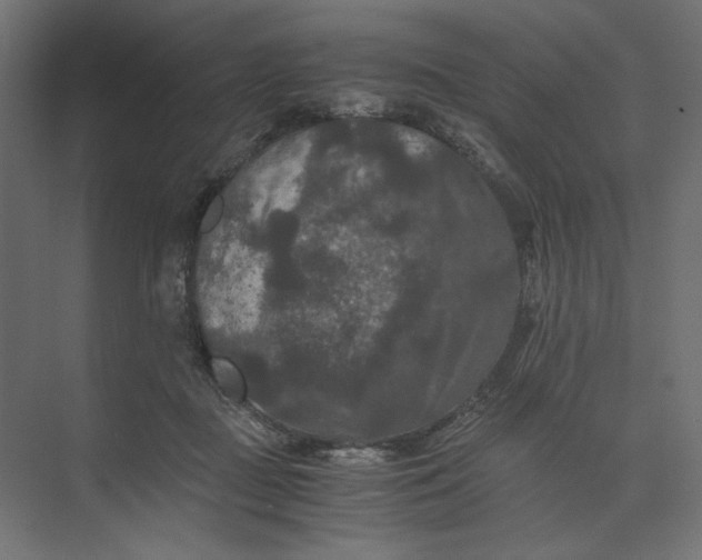 X0000073410363200608181101