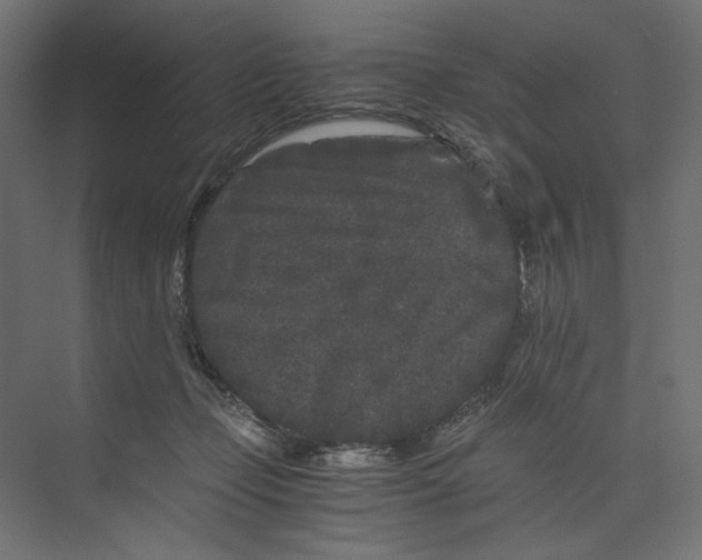 X0000073410365200608181101