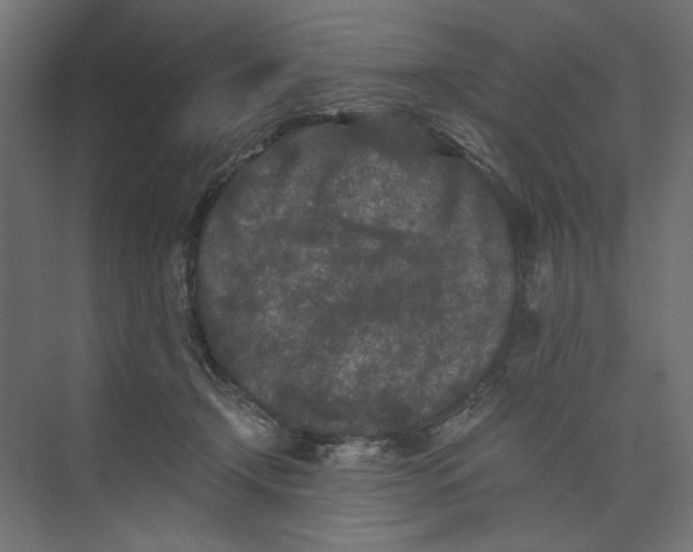 X0000073410366200608181101