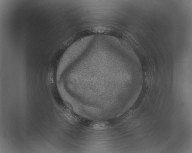 X0000073410368200608181101