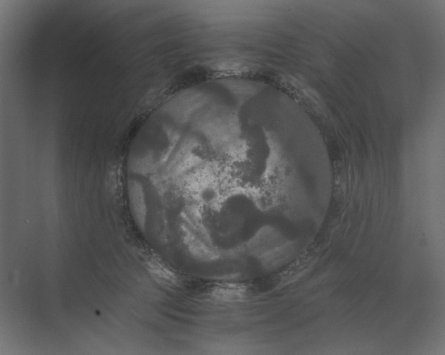 X0000073410369200608181101