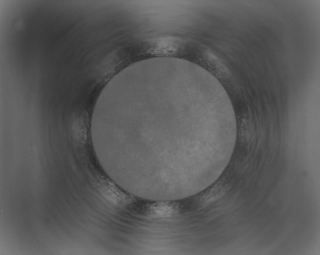 X0000073410370200608181101