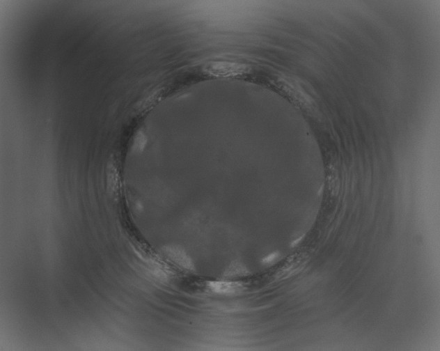 X0000073410371200608181101