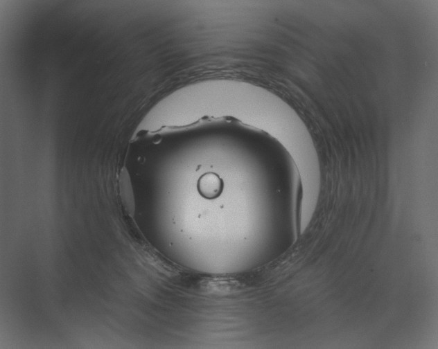 X0000073410372200608181101