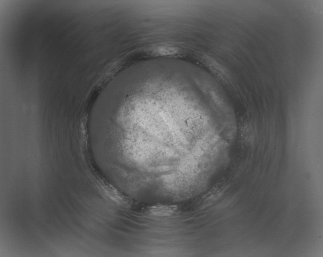 X0000073410373200608181101