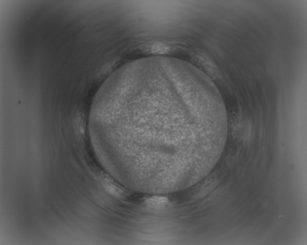 X0000073410374200608181101