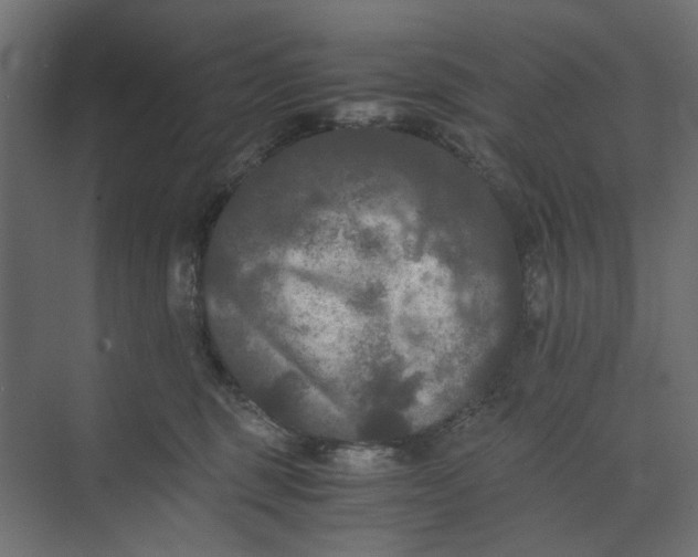 X0000073410375200608181101