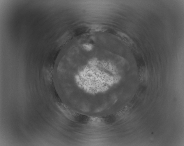 X0000073410376200608181101