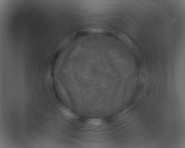 X0000073410377200608181101