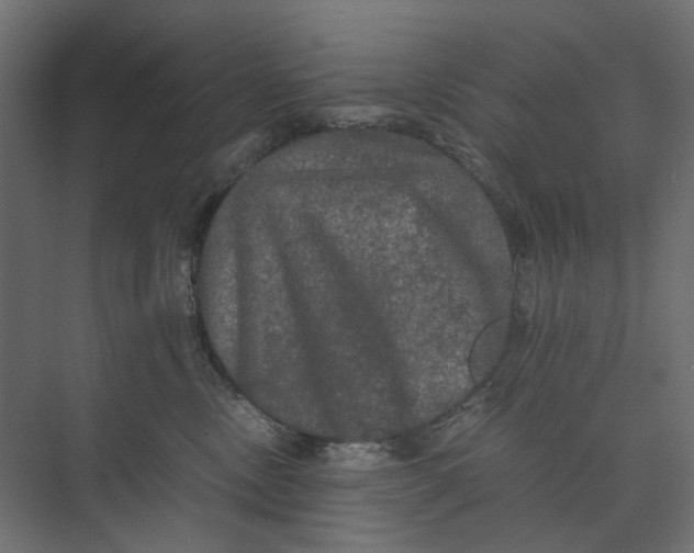 X0000073410378200608181101