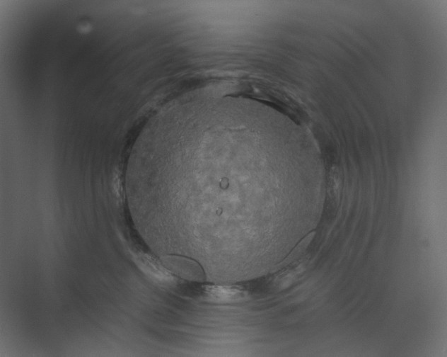 X0000073410380200608181101