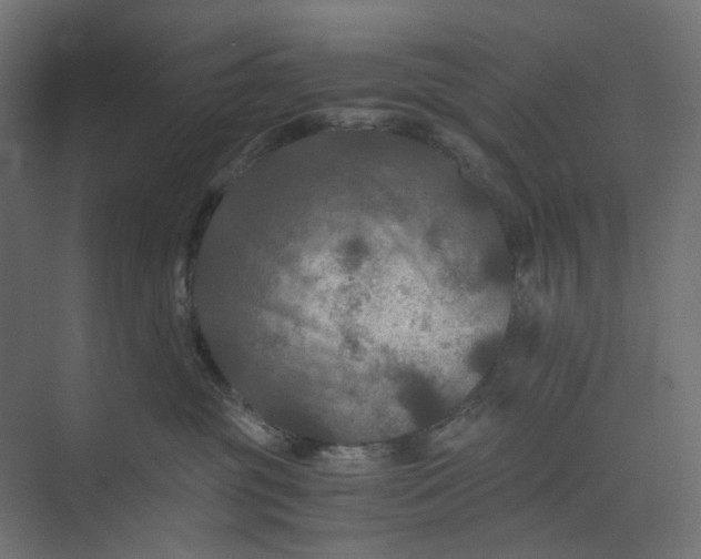 X0000073410381200608181101