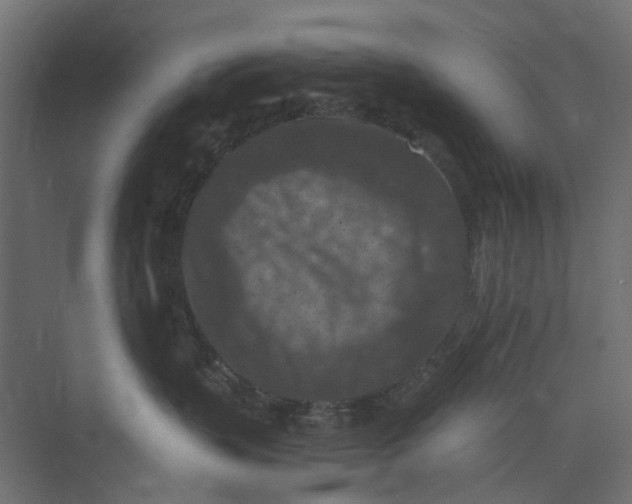 X0000073410383200608181101