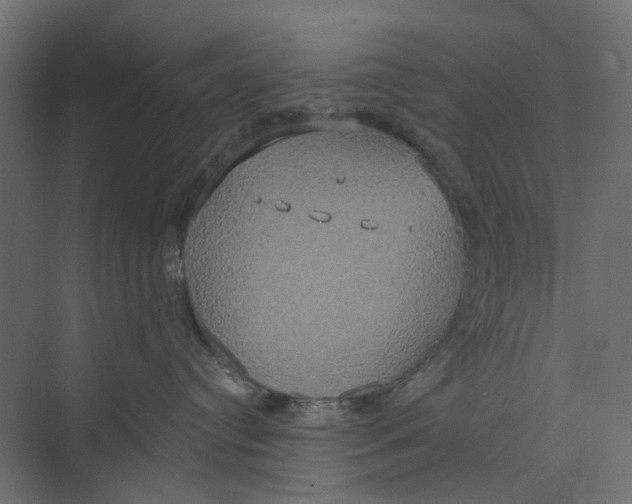 X0000073410384200608181101