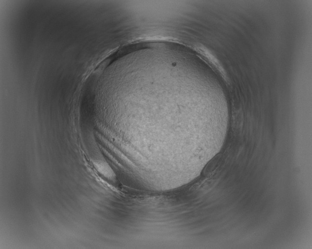 X0000073410385200608181101