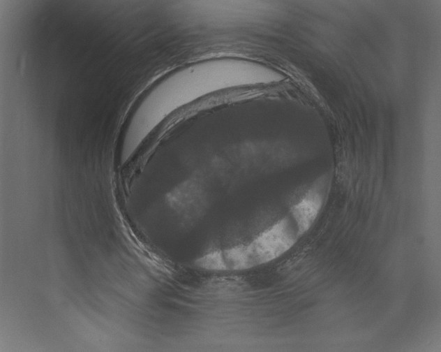 X0000073410386200608181101