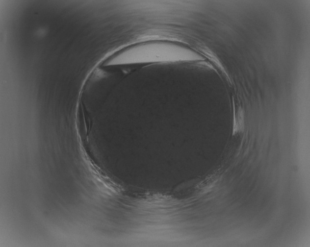 X0000073410387200608181101