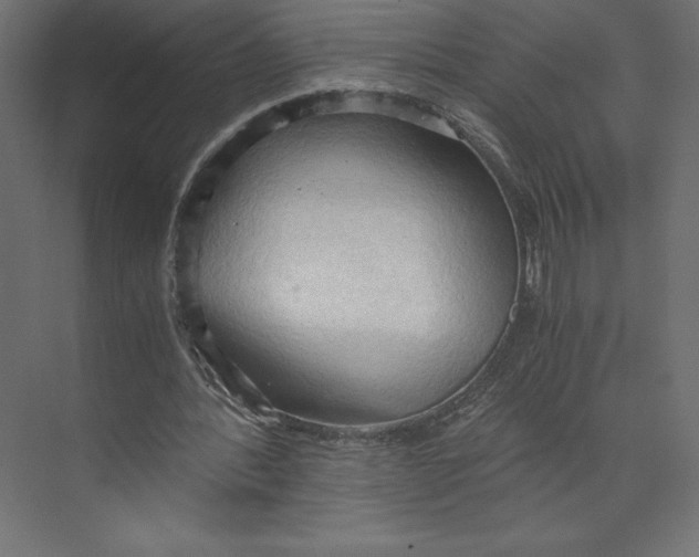 X0000073410388200608181101