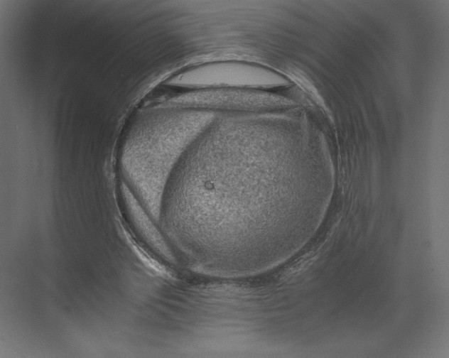 X0000073410389200608181101