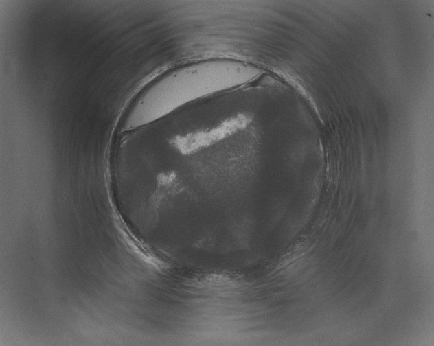 X0000073410390200608181101