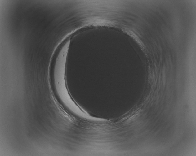 X0000073410391200608181101