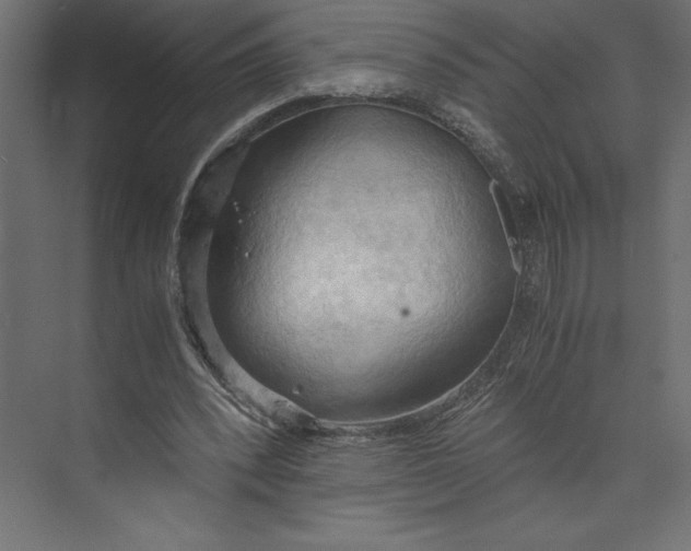 X0000073410392200608181100