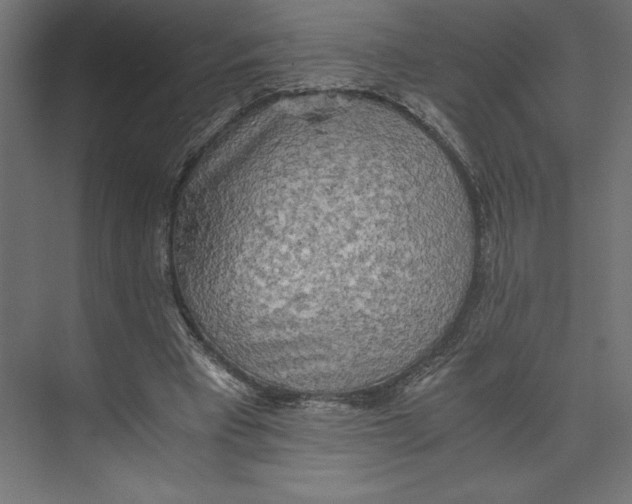 X0000073410393200608181100