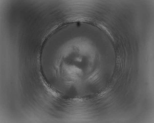 X0000073410394200608181100