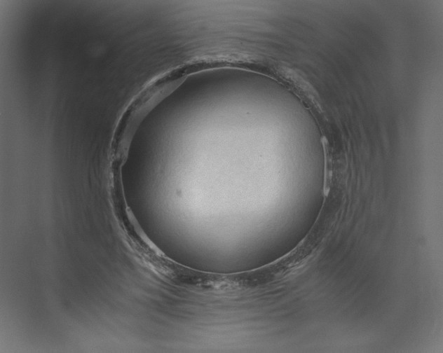 X0000073410395200608181100