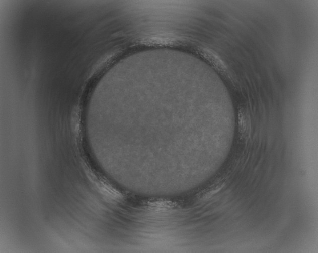 X0000073410396200608181100