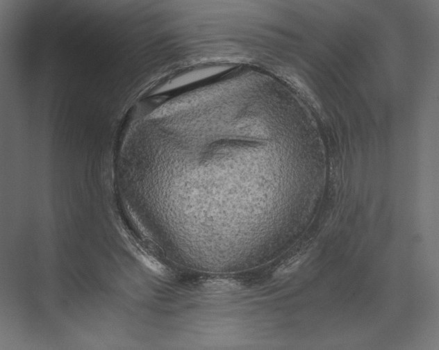 X0000073410397200608181100