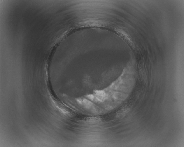 X0000073410398200608181100